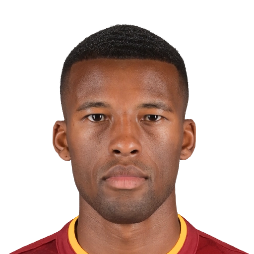 EA FC 26 Wijnaldum 78