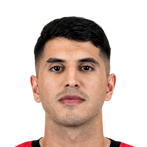 EA FC 26 Palacios 84