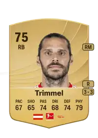Christopher Trimmel Common 75 Overall Rating