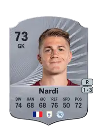 Paul Nardi Rare 73 Overall Rating