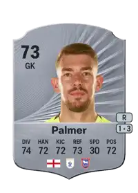 Alex Palmer Rare 73 Overall Rating
