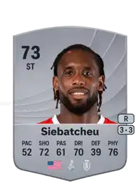 Jordan Siebatcheu Common 73 Overall Rating