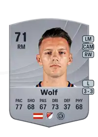 Hannes Wolf Common 71 Overall Rating