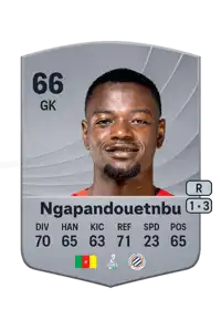 Simon Ngapandouetnbu Common 66 Overall Rating
