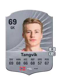 Sander Tangvik Rare 69 Overall Rating