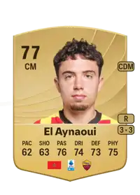 Neil El Aynaoui Common 77 Overall Rating
