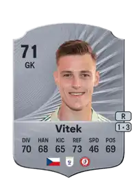 Radek Vitek Rare 71 Overall Rating