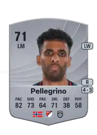 Amahl Pellegrino Common 71 Overall Rating